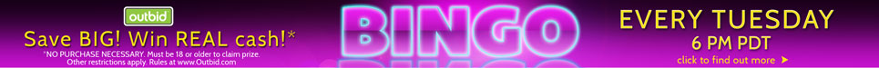 Bingobannerfinal%20(2)